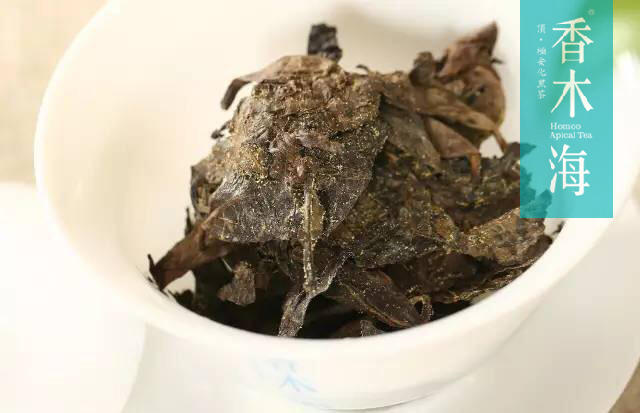 湖南安化黑茶和普洱茶有哪些區(qū)別