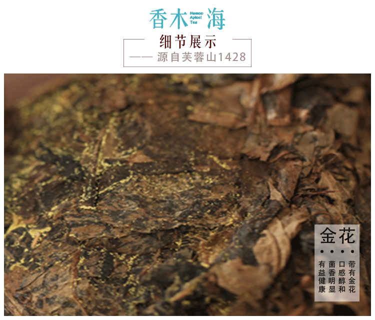 安化黑茶中的黃點(diǎn)是什么？帶黃點(diǎn)的安化黑茶能喝嗎？